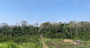 Comissão da Câmara aprova doação de terras da União para o Acre