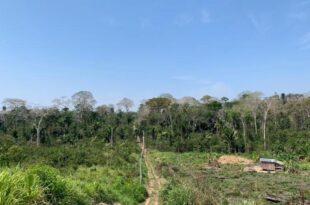 Comissão da Câmara aprova doação de terras da União para o Acre
