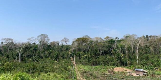 Comissão da Câmara aprova doação de terras da União para o Acre