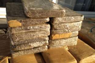Mais de 600 KG de entorpecentes já foram apreendidos neste ano no Juruá