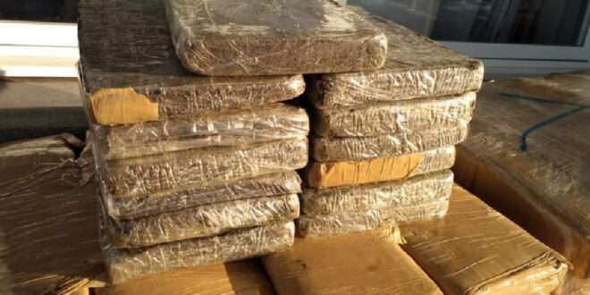 Mais de 600 KG de entorpecentes já foram apreendidos neste ano no Juruá