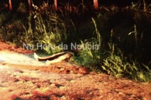 Motorista é chamado por aplicativo e é morto a golpes de faca em Ramal de Rio Branco