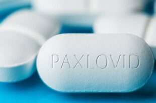 Paxlovid: Anvisa autoriza venda de medicamento contra a Covid-19 em farmácias
