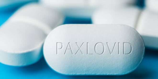 Paxlovid: Anvisa autoriza venda de medicamento contra a Covid-19 em farmácias