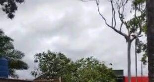 Vendaval derruba árvore em Sena Madureira. Vídeo