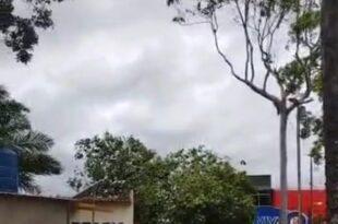 Vendaval derruba árvore em Sena Madureira. Vídeo