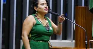 Projeto suspende nova composição de conselho da Amazônia Legal