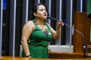 Projeto suspende nova composição de conselho da Amazônia Legal