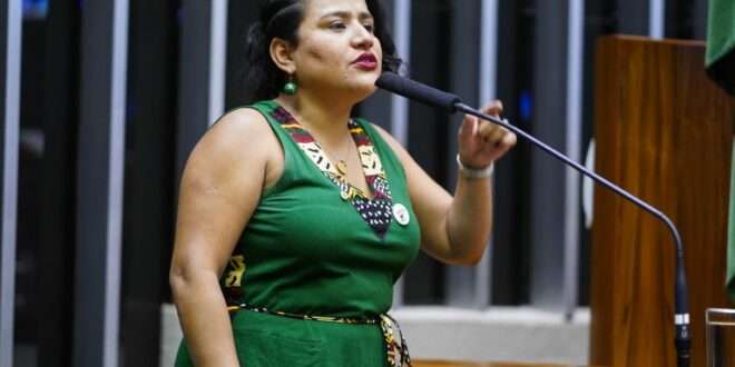 Projeto suspende nova composição de conselho da Amazônia Legal