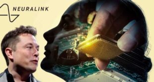 Elon Musk quer implantar chips em cérebros humanos