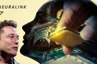 Elon Musk quer implantar chips em cérebros humanos