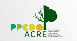 Comitê reelabora plano de prevenção e controle de desmatamento e queimadas esta semana