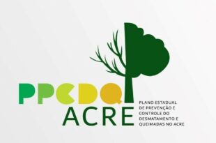 Comitê reelabora plano de prevenção e controle de desmatamento e queimadas esta semana