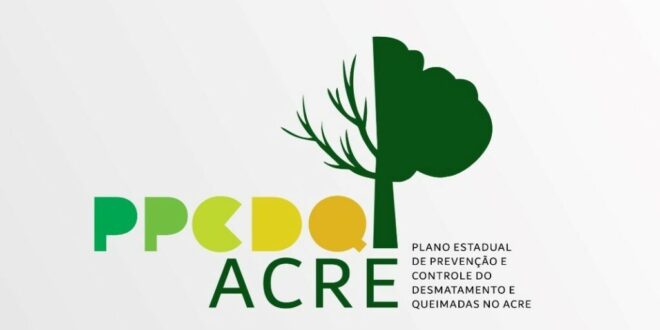 Comitê reelabora plano de prevenção e controle de desmatamento e queimadas esta semana