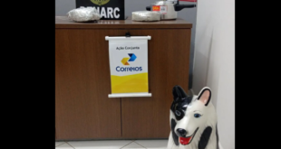 Polícia apreende droga dentro de panela de pressão 