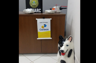 Polícia apreende droga dentro de panela de pressão 