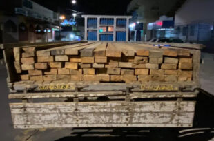 Madeira ilegal é apreendida em Cruzeiro do Sul
