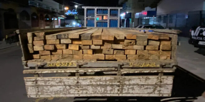 Madeira ilegal é apreendida em Cruzeiro do Sul