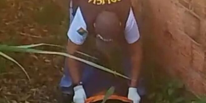 Corpo em decomposição é encontrado com mão decepada em Rio Branco