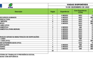 Sine oferta 30 vagas de emprego para Rio Branco nesta quinta 15