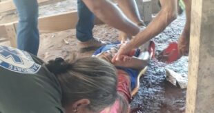 Indígena é assassinado em Sena Madureira
