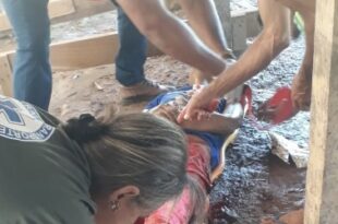 Indígena é assassinado em Sena Madureira