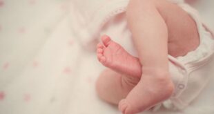 Forma artificial de produzir bebês é apresentada ao mundo
