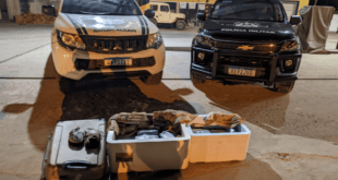 Polícia apreende mais de 50 kg de drogas em ônibus de Cruzeiro do Sul