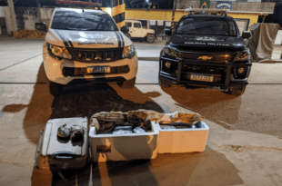 Polícia apreende mais de 50 kg de drogas em ônibus de Cruzeiro do Sul