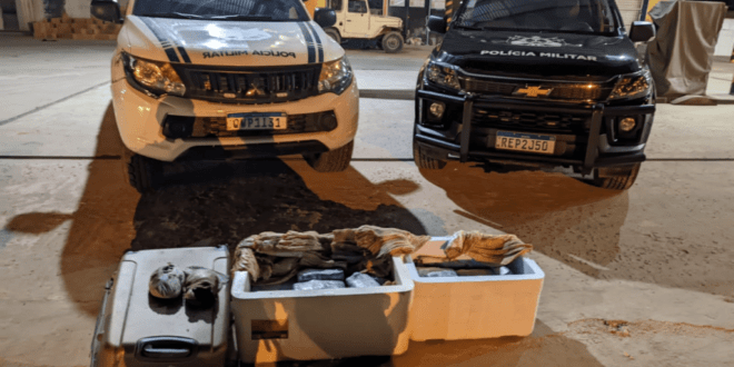 Polícia apreende mais de 50 kg de drogas em ônibus de Cruzeiro do Sul