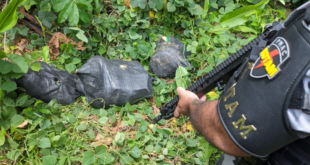 Polícia Militar apreende mais de 63 quilos de drogas