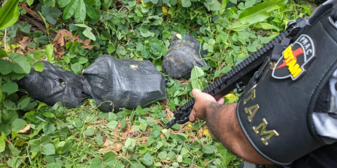 Polícia Militar apreende mais de 63 quilos de drogas