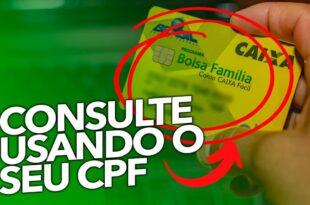 Veja como consultar o Bolsa Família de R$ 600,00 usando o CPF