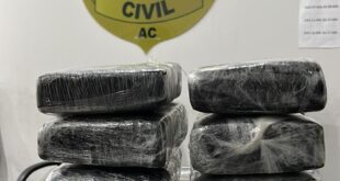 Mulher é presa com 6 quilos de droga em ônibus na BR-364