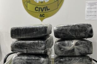 Mulher é presa com 6 quilos de droga em ônibus na BR-364