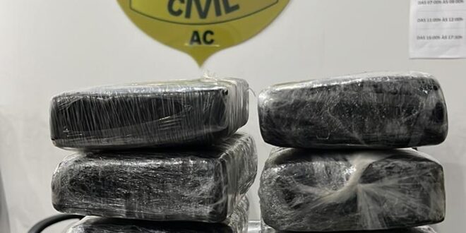 Mulher é presa com 6 quilos de droga em ônibus na BR-364