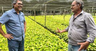 Edvaldo Magalhães visita viveiro de mudas de café em Mâncio Lima e destaca potencial da cafeicultura no Acre
