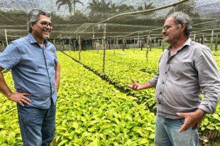 Edvaldo Magalhães visita viveiro de mudas de café em Mâncio Lima e destaca potencial da cafeicultura no Acre