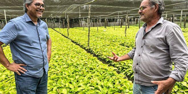 Edvaldo Magalhães visita viveiro de mudas de café em Mâncio Lima e destaca potencial da cafeicultura no Acre