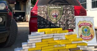 Forças de Segurança apreendem quase 70 kg de cocaína e skunk na BR-317