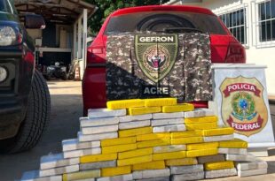 Forças de Segurança apreendem quase 70 kg de cocaína e skunk na BR-317
