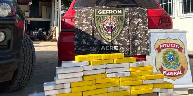 Forças de Segurança apreendem quase 70 kg de cocaína e skunk na BR-317