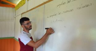 Novos professores efetivos do cadastro reserva da Educação são nomeados; veja lista