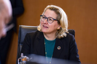 Ministra alemã diz que Brasil pode ser líder na área de hidrogênio verde
