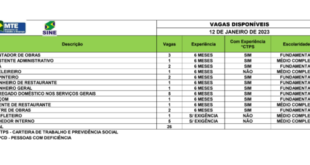 Sine oferece quase 30 vagas de emprego no Acre nesta quinta, 12