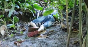 Adolescente é executado a tiros em Rio Branco