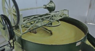 Governo e Sebrae fomentam cadeia produtiva de farinha em comunidades rurais de Cruzeiro do Sul