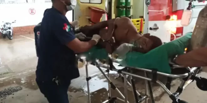 Jovem é ferido a tiros após ter casa invadida no interior do Acre