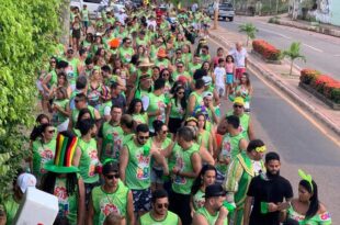 Bloco ‘Boi Cagão’ promove carnaval de rua nesta segunda (20)