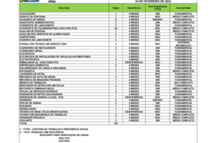 Sine oferece mais de 100 vagas de emprego nesta sexta-feira, 24